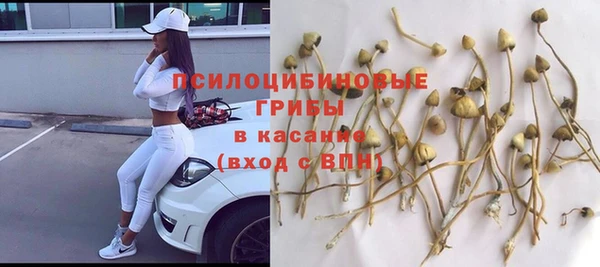 молекула духа Саяногорск