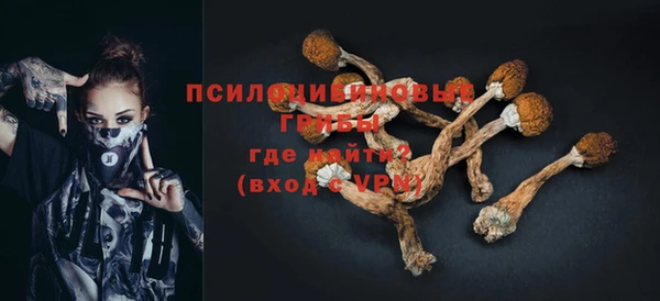 героин Губаха