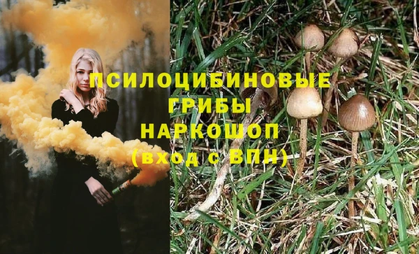 ГАЛЛЮЦИНОГЕННЫЕ ГРИБЫ Сафоново
