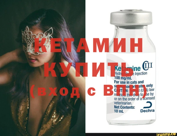 сатива Северская